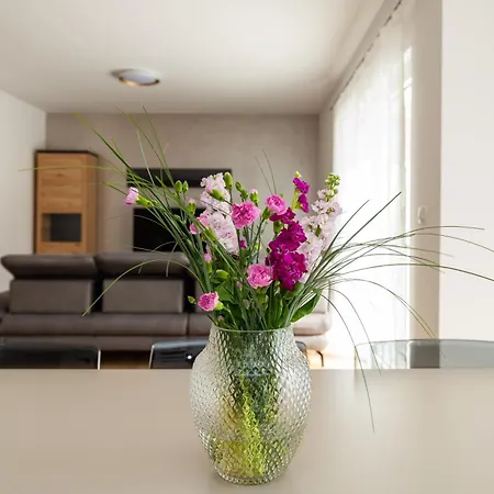 Casa Coral Villa Crno